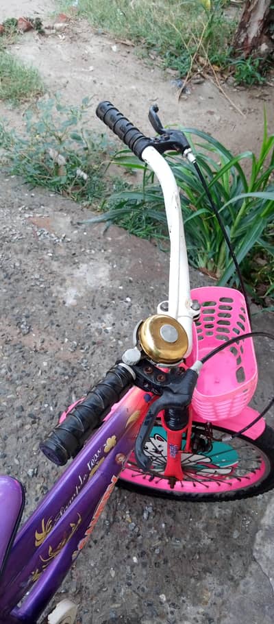 barby doll cycle