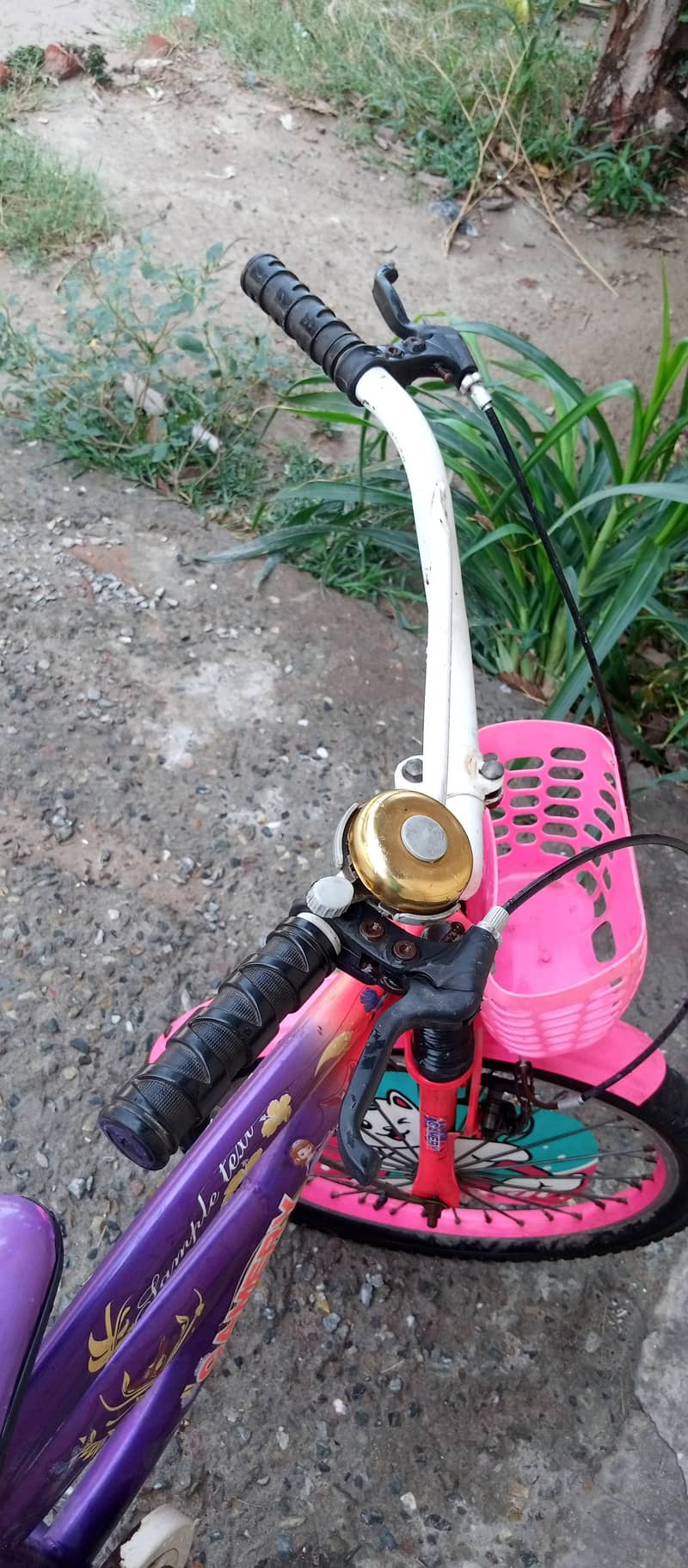 barby doll cycle 0