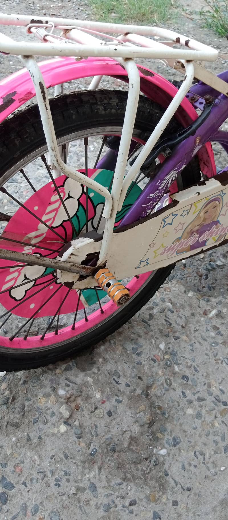 barby doll cycle 1