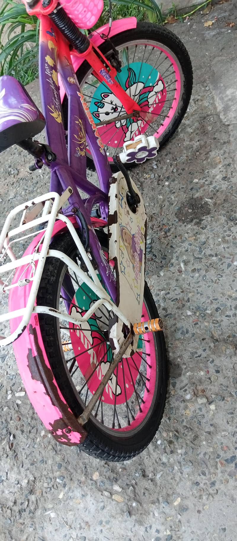 barby doll cycle 4