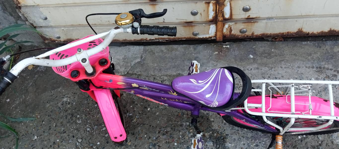 barby doll cycle 8