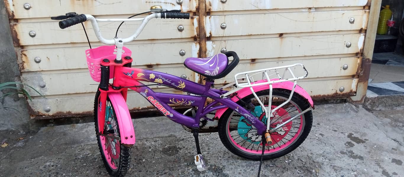 barby doll cycle 13