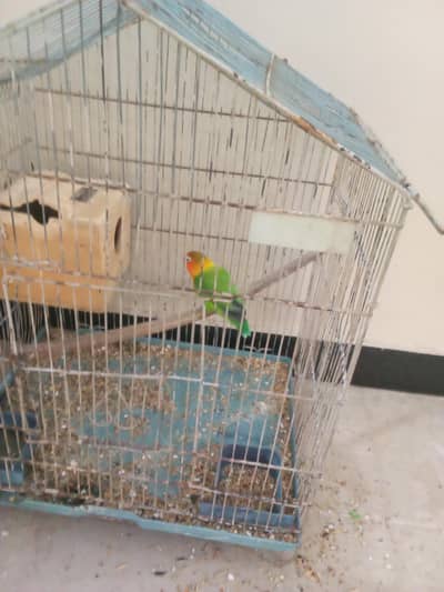 fisher for sale