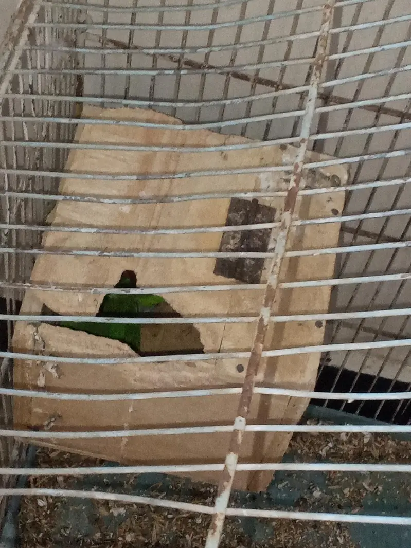 fisher for sale — photo 3