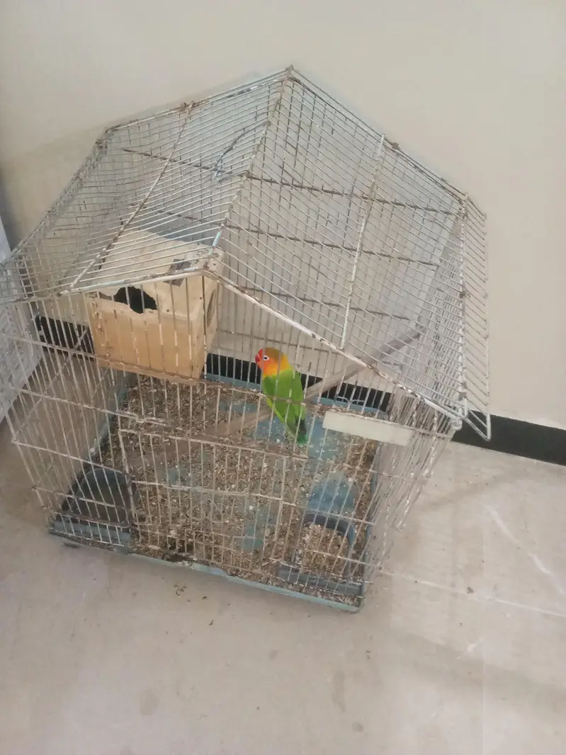 fisher for sale — photo 4