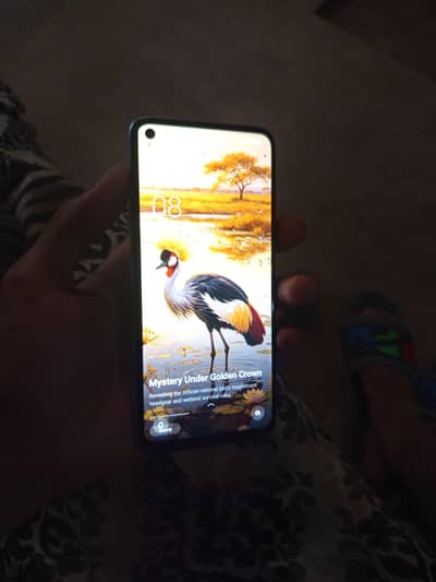 OPPO A76