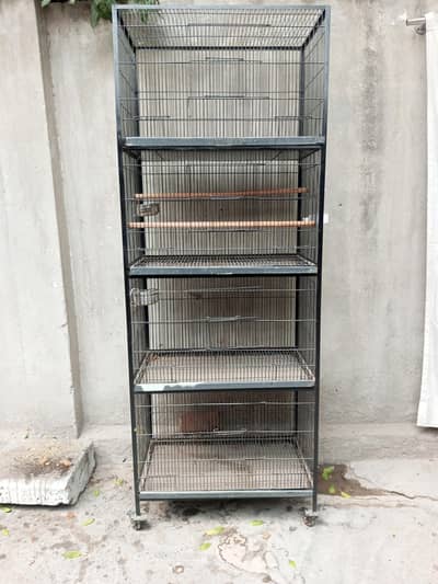 Bird Cage