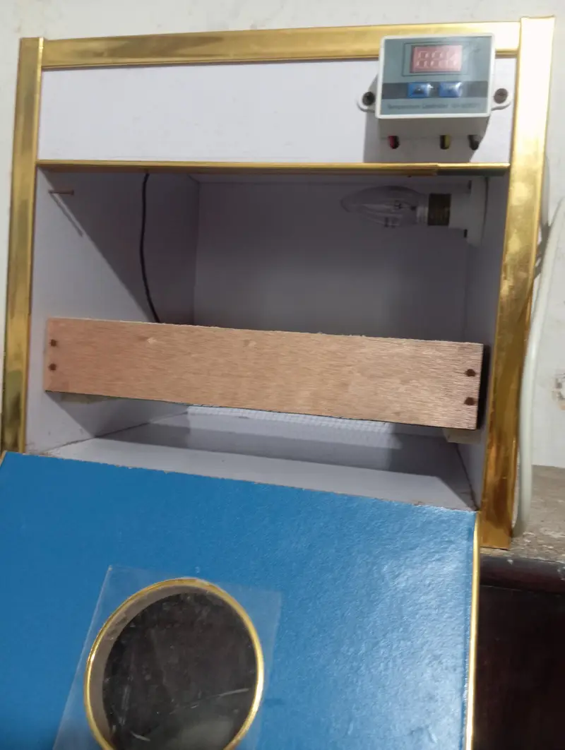 incubator — photo 2