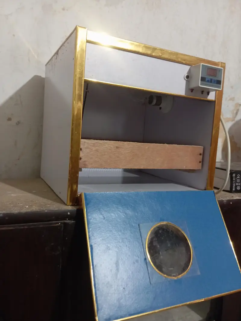 incubator — photo 3