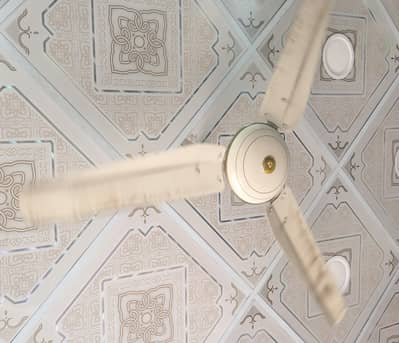 fan for sale