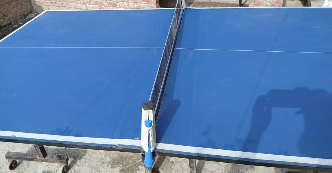 Table Tennis 1