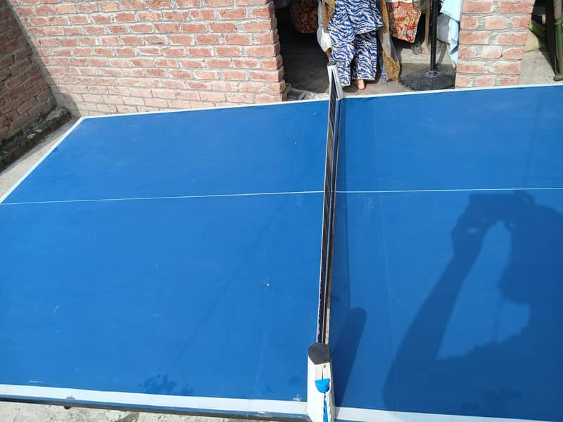 Table Tennis 6