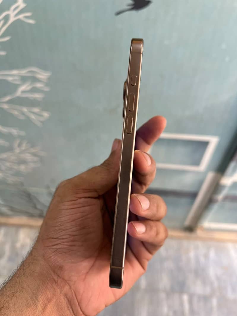 iPhone 16pro max 2