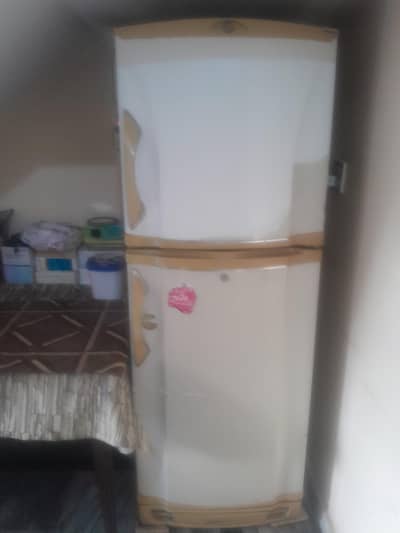 PEL 5ft Single Door Fridge – Used – Good Working Condition – Off White