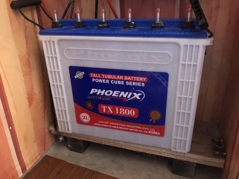 Phoenix 0