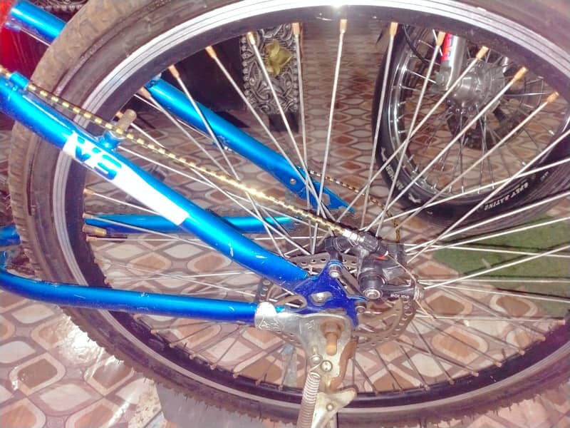 bycycle 1