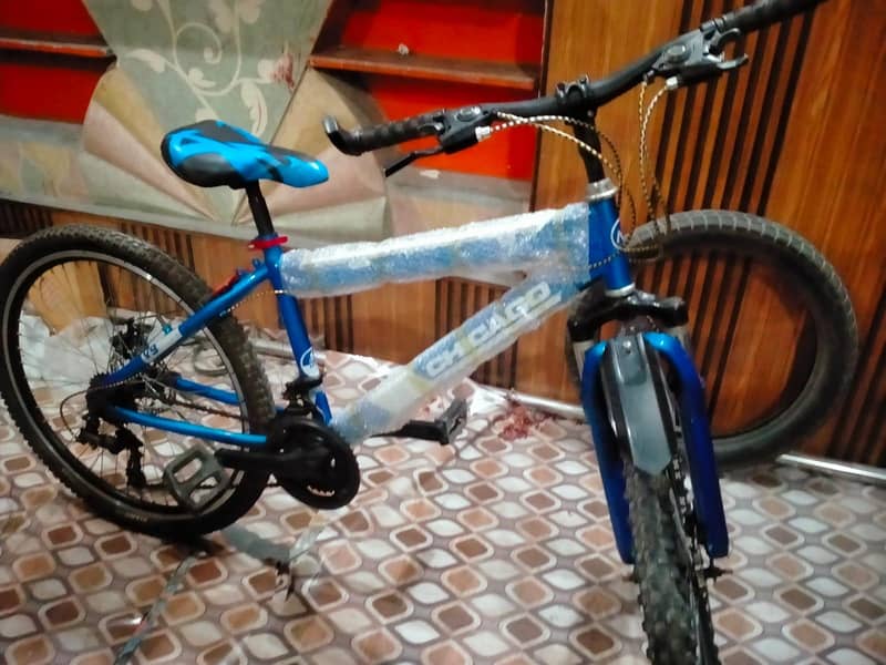 bycycle 2