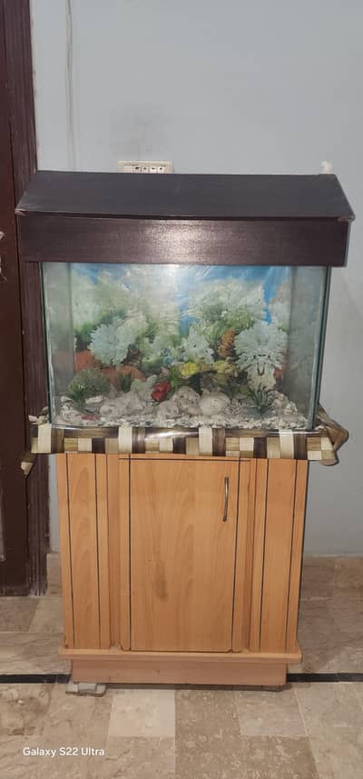 2x1x1.5 Feet Fish Tank - Full Setup with Wooden Cupboard & Accessories