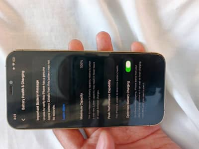 Apple iPhone 12 Pro