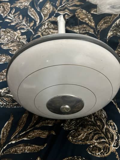 White colour fan