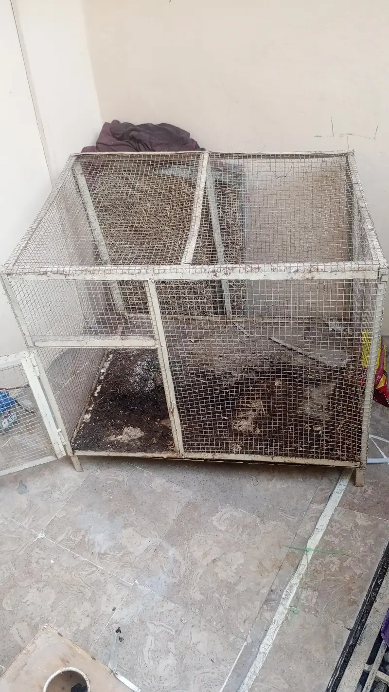 panjra fore sale — photo 2