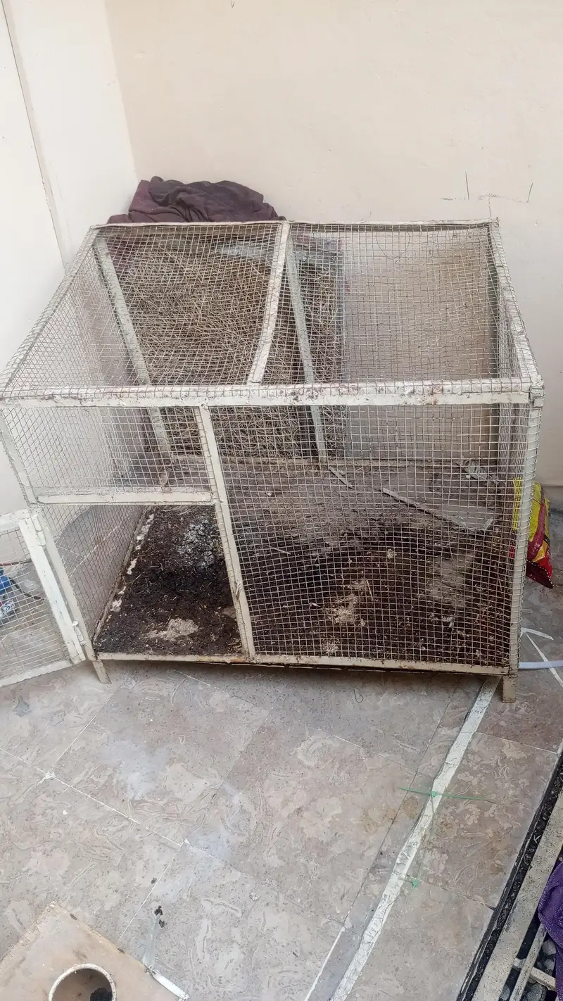 panjra fore sale — photo 3