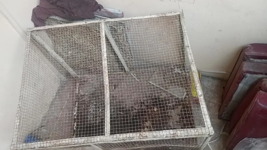 panjra fore sale — photo 4