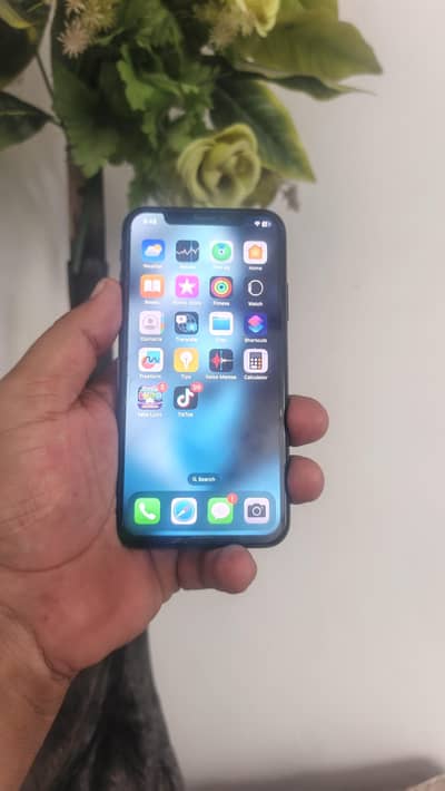 Apple iPhone X