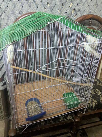 iron cage