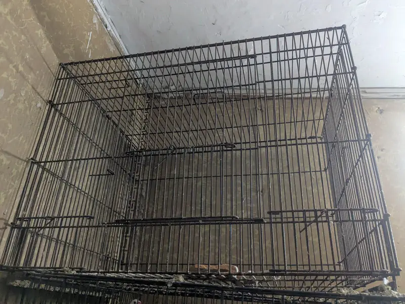 iron cage — photo 6