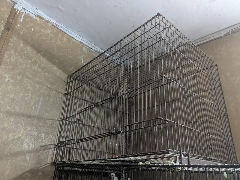 iron cage — photo 8