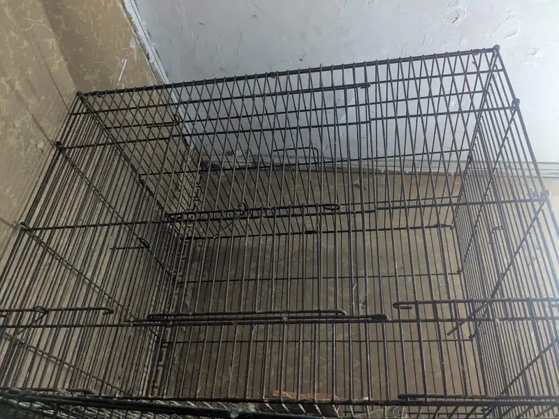 iron cage — photo 10
