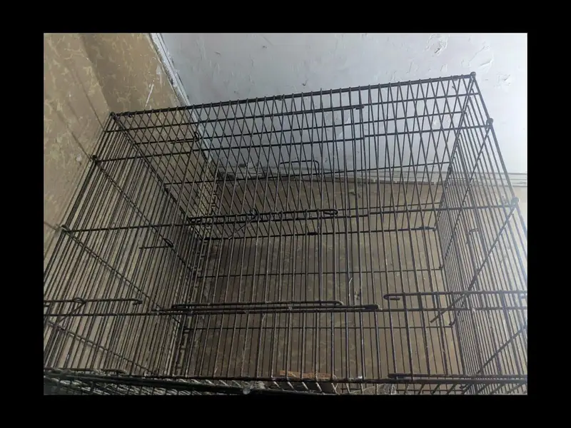 iron cage — photo 11