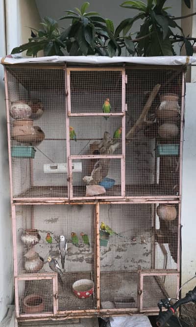 Birds Cage for sale (only cage)