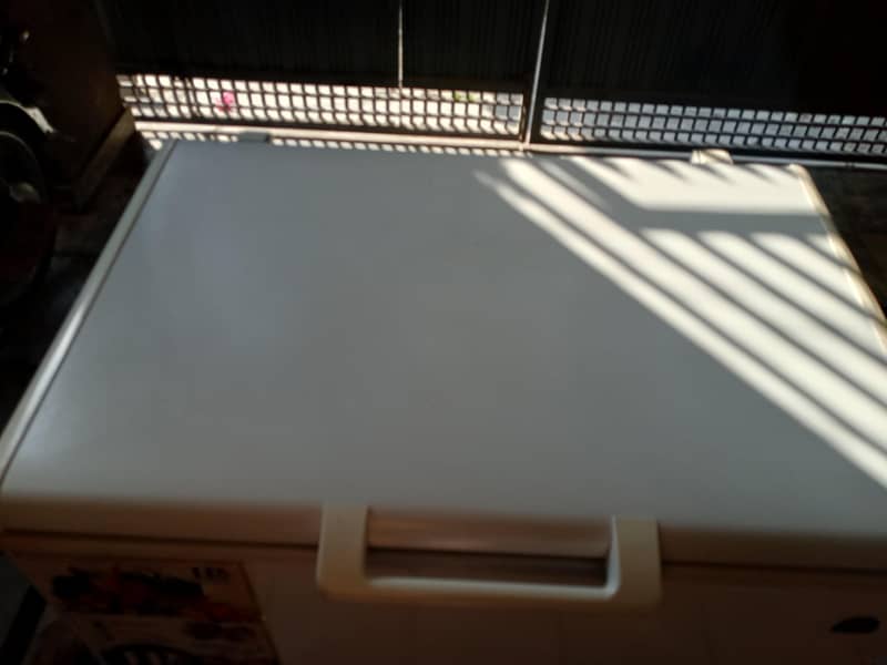 D freezer 1