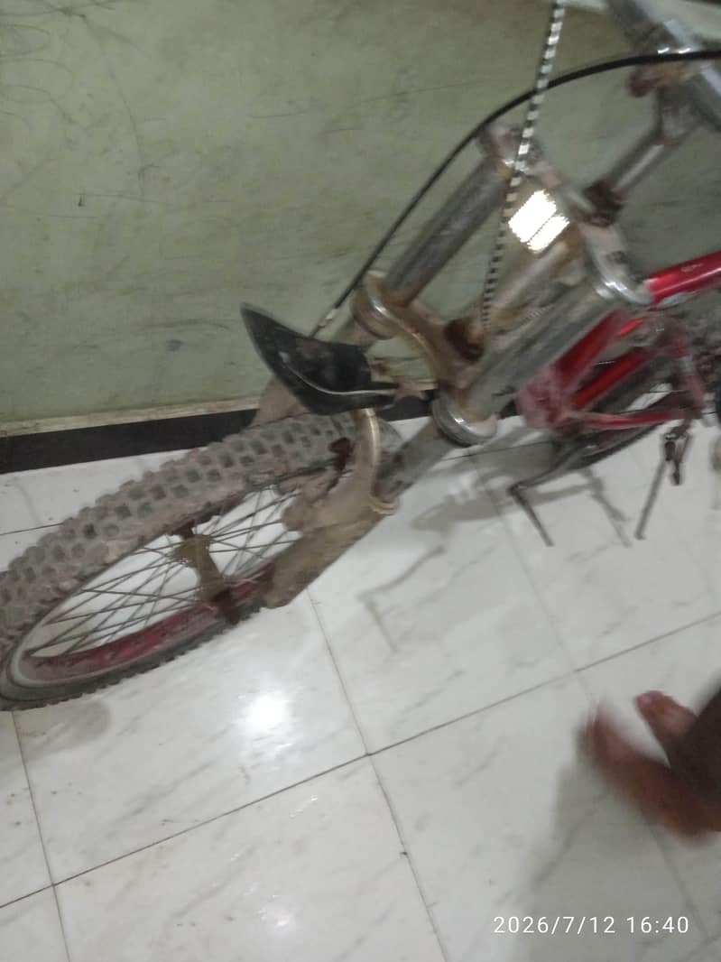 cycle 2