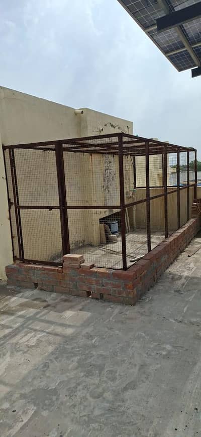 Strong Hen and  Bird Cag 15×6×6 ft