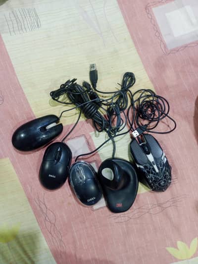 Mouse