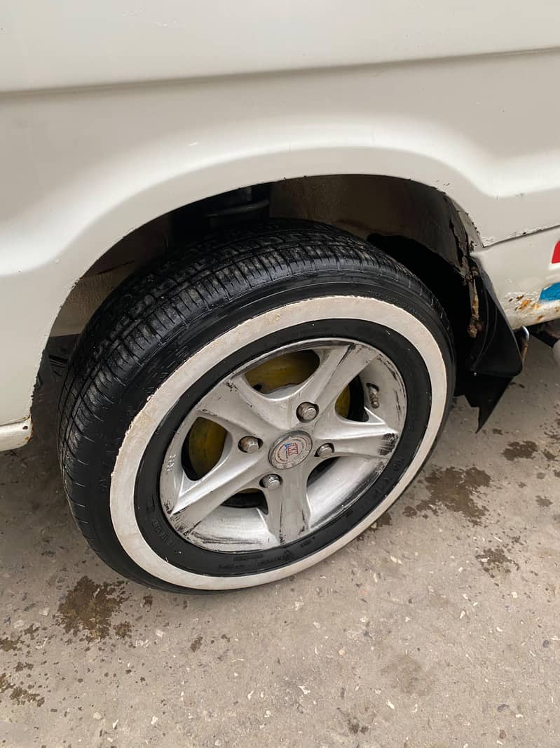 bolan 2019 1