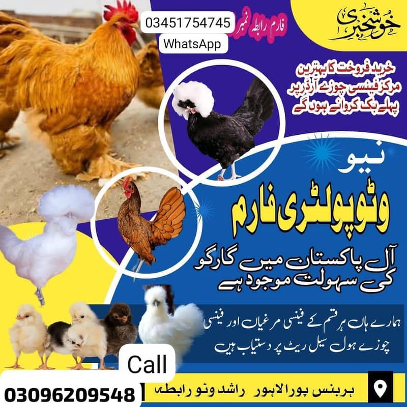 03067770448 5