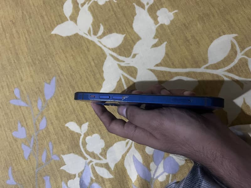 Apple iPhone 12 1