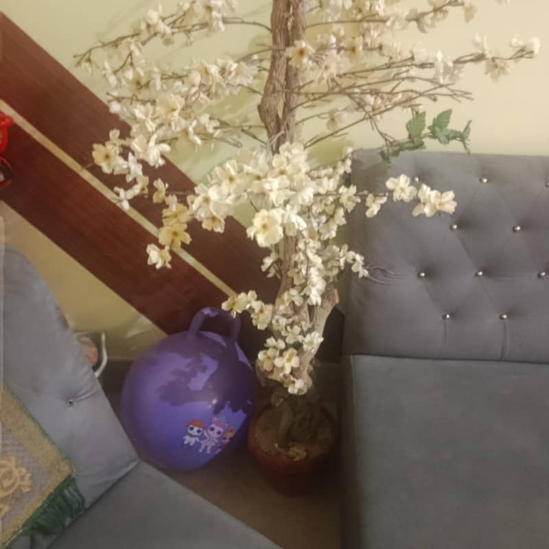 SOFA SET 3