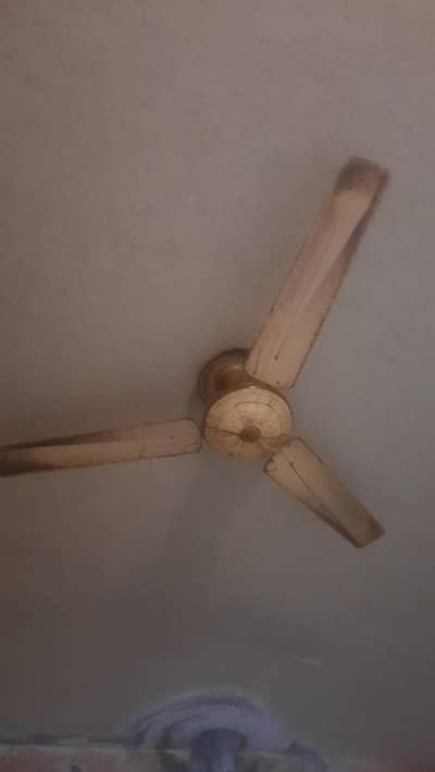 celing fan for sale