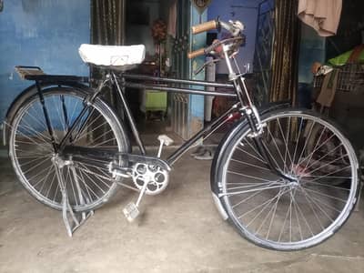 PECO Bycycle 10/10 Condition