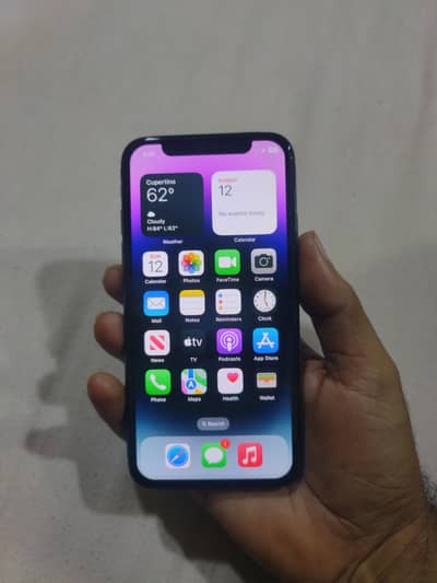 Apple iPhone X