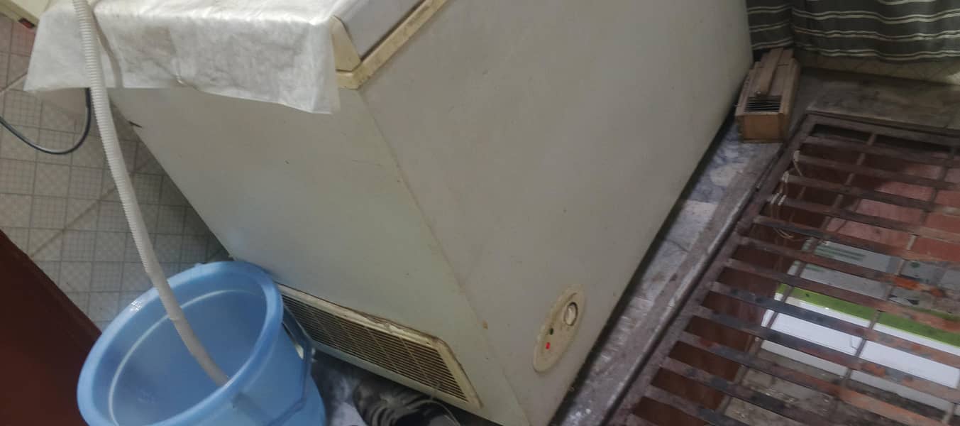 waves freezer 1