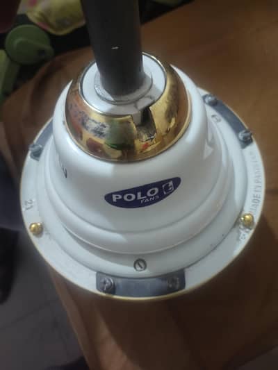 polo fans