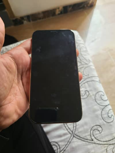 Apple iPhone 12 Pro Max