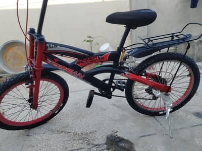 Bicycle Cycle