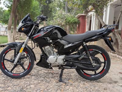 YAMAHA YBR ESD 03313939676